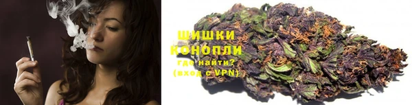 гидра Новокубанск