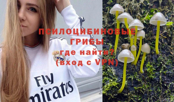 марки nbome Новозыбков