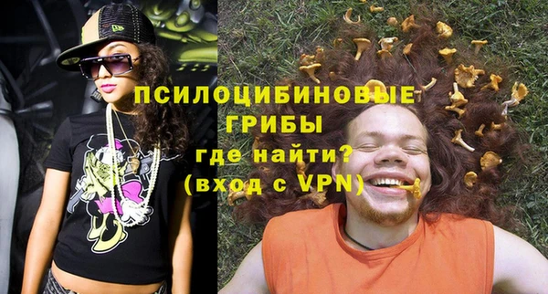 герыч Няндома