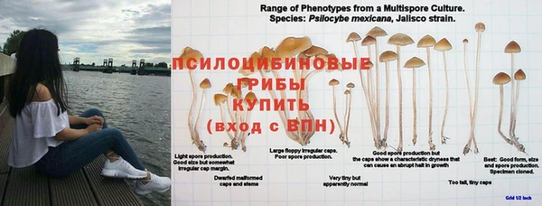 каннабис Нягань