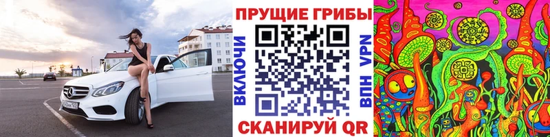 Галлюциногенные грибы Psilocybe  Медынь 