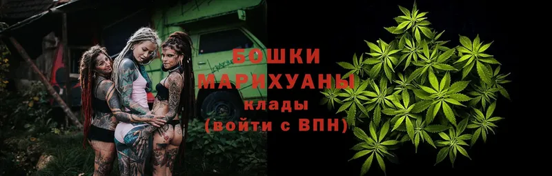 Канабис OG Kush  Медынь 